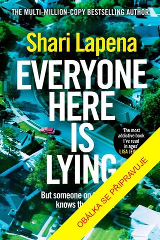 Kniha: Všude samí lháři - Ale chce se tu vůbec někdo dozvědět pravdu? - 1. vydanie - Shari LaPena