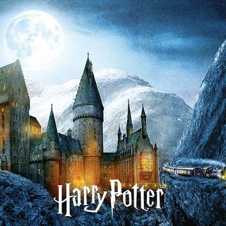 Kolekcia titulov: Filmový svet Harryho Pottera