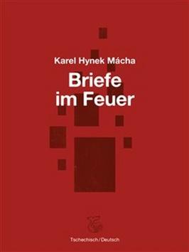 Kniha: Briefe im Feuer - Karel Hynek Mácha