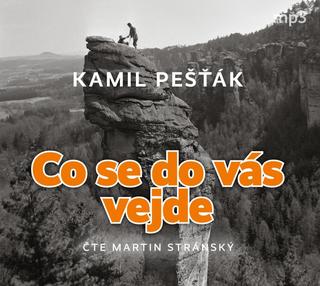Médium CD: Co se do vás vejde - 1. vydanie - Kamil Pešťák