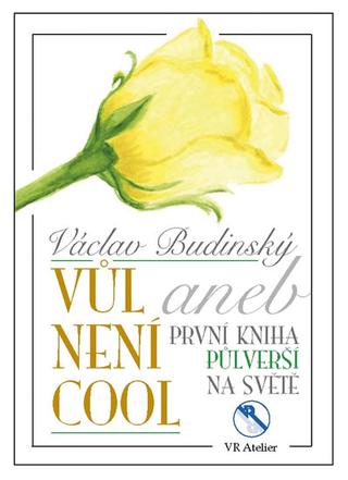 Kniha: Vůl není cool aneb První kniha půlverší - 1. vydanie - Václav Budinský