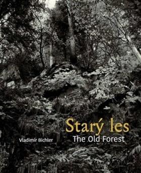 Kniha: Starý les / The Old Forest - Vladimír Bichler