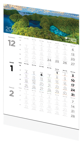 Kniha: Trojmesačný kalendár Amazing planet 2021 - Filip Kulisev