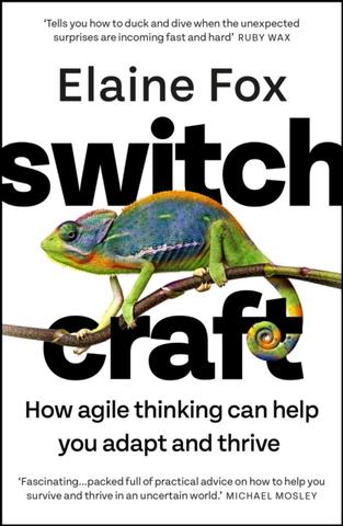 Kniha: Switchcraft - Elaine Fox