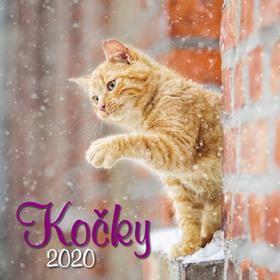 Kalendár nástenný: Kočky 2020 - nástěnný kalendář