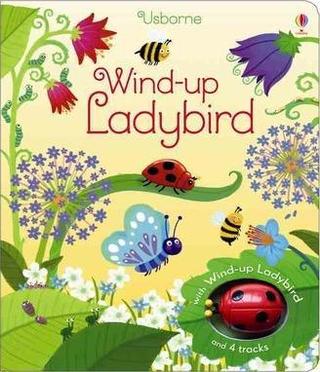 Kniha: Wind-Up Ladybird - 1. vydanie - Fiona Wattová