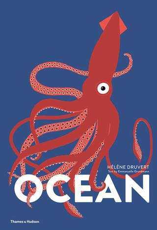 Kniha: Ocean - Hélène Druvert;Emmanuelle Grundmann