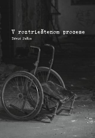 Kniha: V roztieštenom procese - 1. vydanie - Dávid Paška