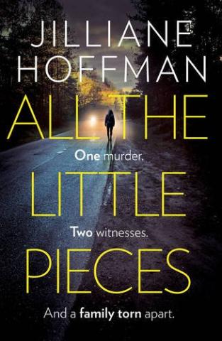 Kniha: All The Little Pieces - Jilliane Hoffman