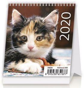 Kalendár stolný: Mini Kittens - 1. vydanie