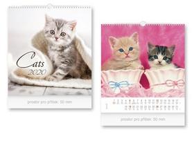 Kalendár nástenný: Malý Cats - nástěnný kalendář 2020