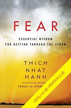 Kniha: Strach - Základní průvodce, jak přežít bouři - 2. vydanie - Thich Nhat Hanh