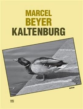 Kniha: Kaltenburg - Skutečný příběh dobrých vojáků 91. regimentu - Marcel Beyer