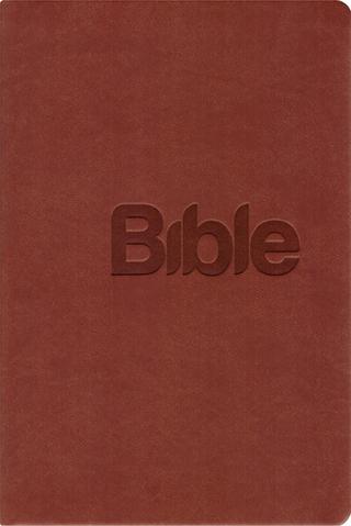 Kniha: Bible 21 - eko kůže hnědá - 10. vydanie - Alexandr Flek