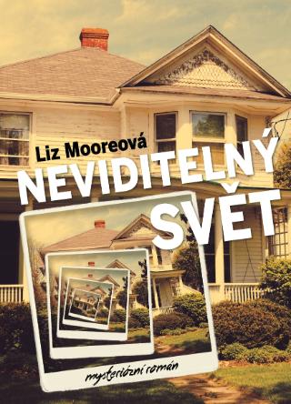 Kniha: Neviditelný svět - mysteriózní román - 1. vydanie - Liz Moore