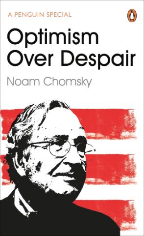 Kniha: Optimism Over Despair - Noam Chomsky