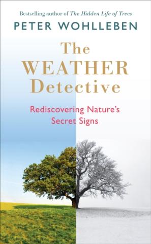 Kniha: The Weather Detective - Peter Wohlleben