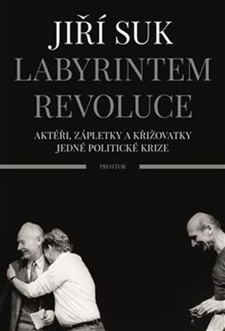 Kniha: Labyrintem revoluce - Aktéři, zápletky a křižovatky jedné politické krize - Jiří Suk