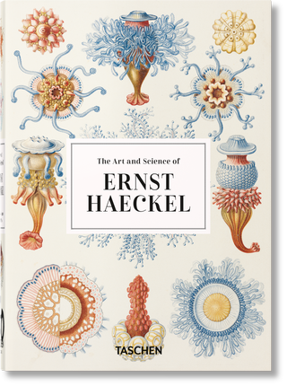 Kniha: Ernst Haeckel – 40th Anniversary Edition - Rainer Willmann;Julia Voss