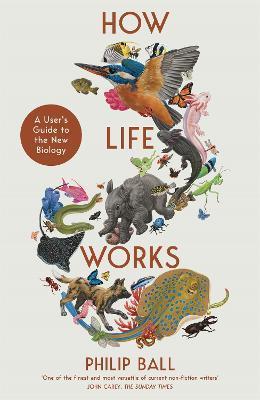 Kniha: How Life Works: A User´s Guide to the New Biology - 1. vydanie - Philip Ball