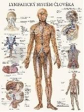 Kniha: Mapa - Lymfatický systém člověka - Eva Hrubá