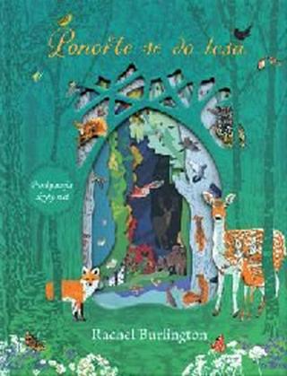 Kniha: Ponořte se do lesa - 1. vydanie - Rachel Burlington