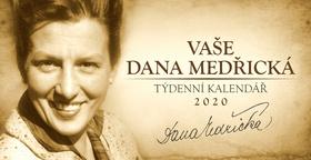 Kalendár stolný: Vaše Dana Medřická - stolní kalendář 2020