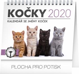 Kalendár stolný: Kočky – se jmény koček - stolní kalendář 2020