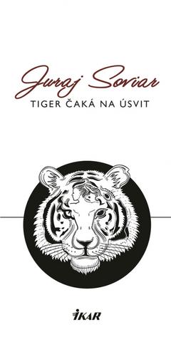 Kniha: Tiger čaká na úsvit - 1. vydanie - Juraj Soviar