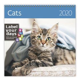 Kalendár nástenný: Cats