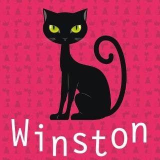 Séria kníh: Kocúr Winston
