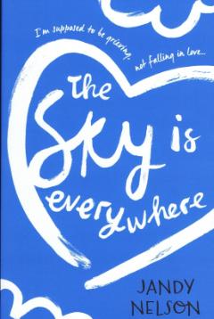 The Sky Is Everywhere - Jandy Nelsonová