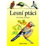 Kniha: Lesní ptáci - Pavel Vašák