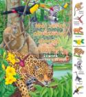 Kniha: Môj veľký obrázkový slovník o prírode - Zvieratá a rastliny v džungli - Kolektív