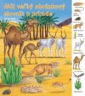 Kniha: Môj veľký obrázkový slovník  Zvieratá a rastliny v púšti - Zvieratá a rastliny v púšti - Kolektív