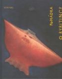 Kniha: Pohádka o Rybitince - Modrý slon - Petr Nikl