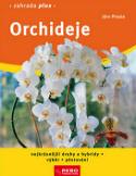 Kniha: Orchideje - Jörn Pinske
