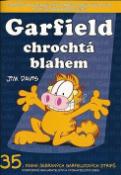 Kniha: Garfield chrochtá blahem - Jim Davis