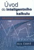Kniha: Úvod do inteligentního kalkulu - 1000 příkladů z elementární analýzy - Ilja Černý, Václav Černý