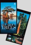 Kalendár: All About Trees 2009 - nástěnný kalendář - Tomáš Míček