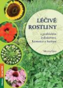 Kniha: Léčivé rostliny - v praktickém bylinkářství, kosmetice a kuchyni - Martin Gato