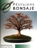 Kniha: Pěstujeme bonsaje - David Prescott