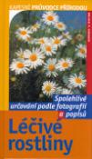 Kniha: Léčivé rostliny - Spolehlivé určování podle fotografií a popisů - Bruno P. Kremer