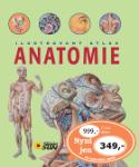 Kniha: Ilustrovaný atlas Anatomie - Pavel Pavel