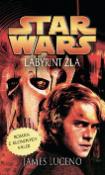 Kniha: STAR WARS Labyrint zla - Román z klonových válek - James Luceno