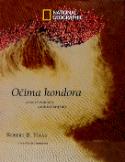 Kniha: Očima kondora - Letecký portrét Latinské ameriky
