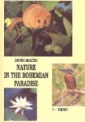 Kniha: Nature in the Bohemian paradise - Příroda v Českém ráji anglicky - Zdeněk Mrkáček
