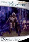 Kniha: Domovina - Temný elf 1 - Legenda o Drizztovi 1 - R. A. Salvatore