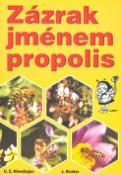 Kniha: Zázrak jménem propolis - G.Z. Minedžajan, Johan Richter