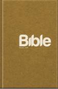 Kniha: Bible Překlad 21. století - velká písmena